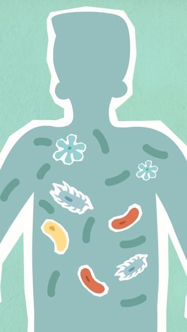 Gut viruses are evolving new tricks to beat bacteria — and could help fight superbugs - AOL.co.uk