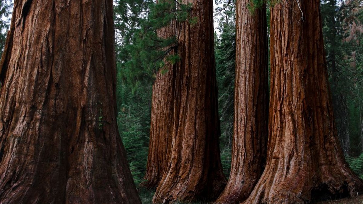 Sequoia-incubated Empirik launches with $21M to predict outages before they happen