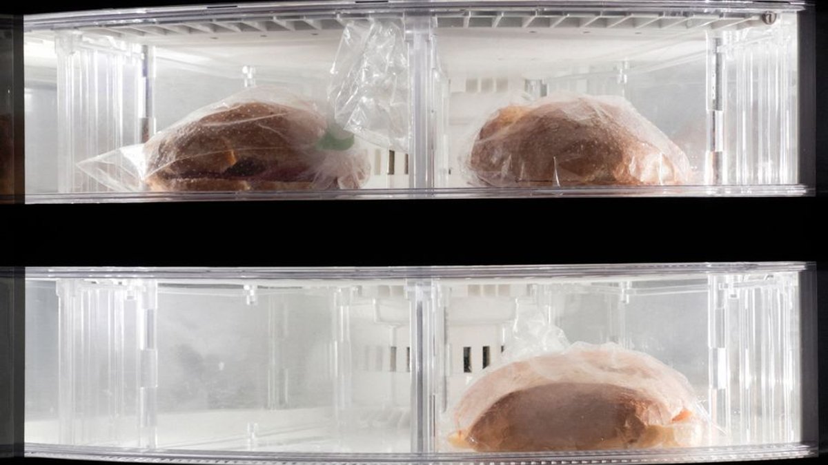Owners mourn spoiled food after firmware update bricks Samsung smart fridges - arstechnica.com