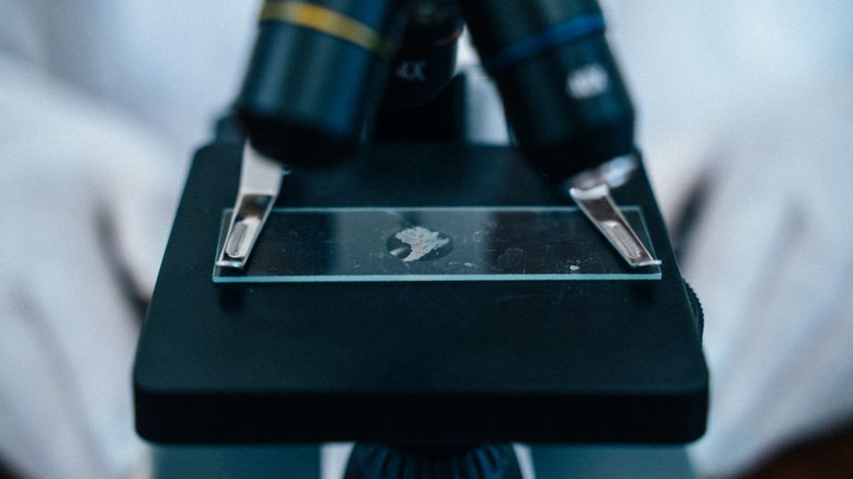 Anthropic says its biology lab has already found something big